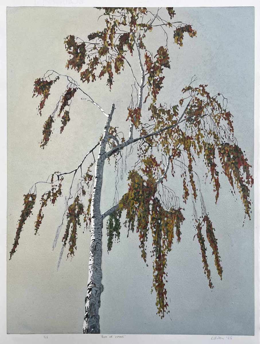 Staunton-Birch-at-sunset-linocut-33x45-15