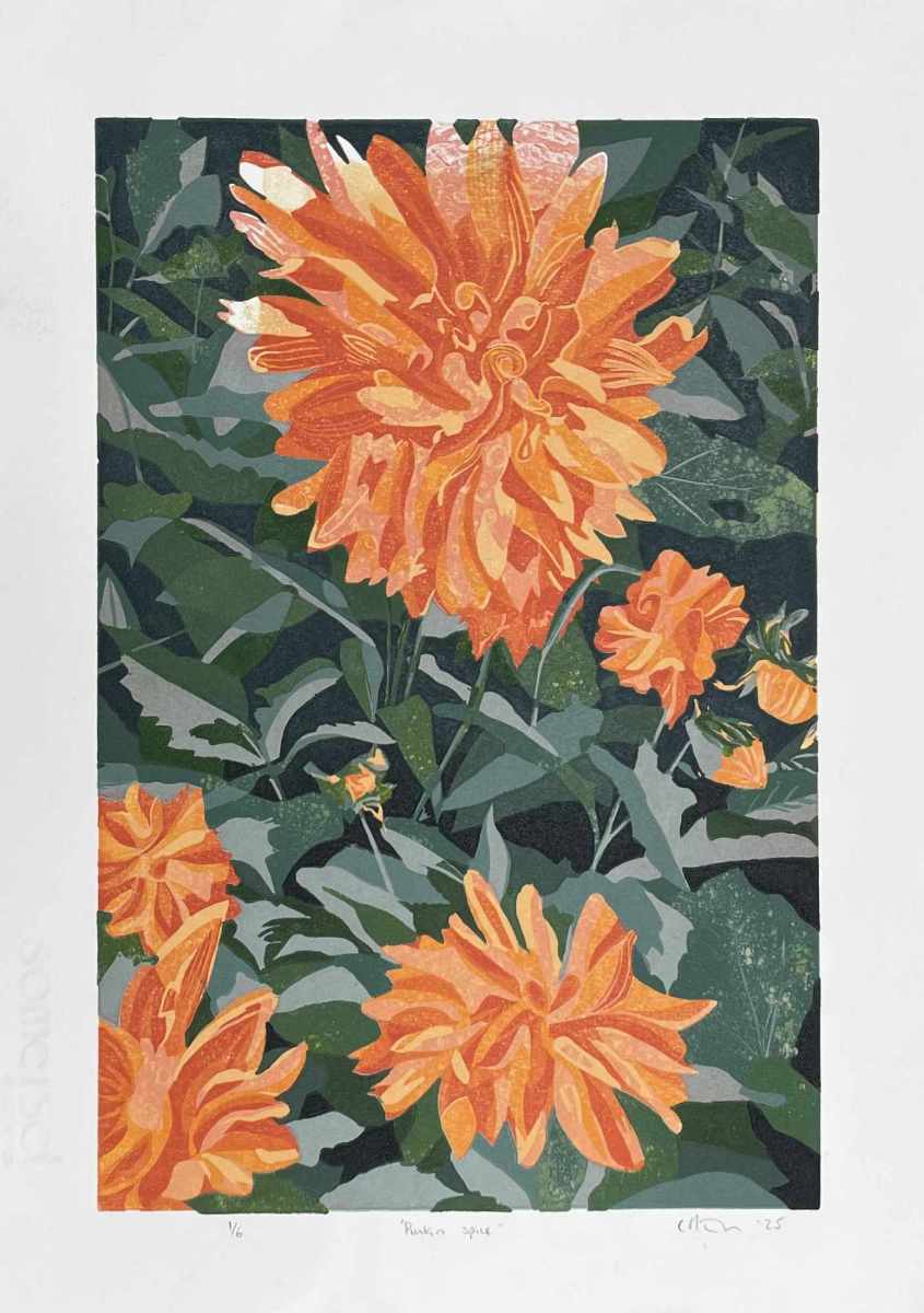 Staunton-Punkin-spice-Linocut
