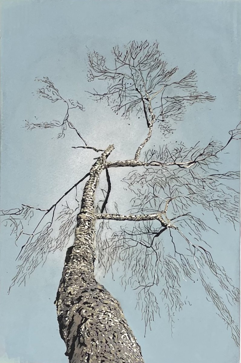 Staunton-Winter-Birch-Linocut