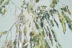 Staunton-Dalmeny-Birch-Linocut