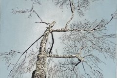 Staunton-Winter-Birch-Linocut