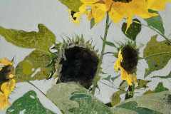 Staunton_Sunflowers-20x30