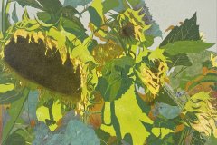 Sunflowers-Staunton-Linocut-30-x-30