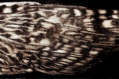 Elizabeth-Kelleher-Flight-Pattern-mezzotint