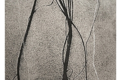 KIERNAN_Opus-8_photopolymer