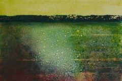 Roe-Secret-Love-Monoprint-