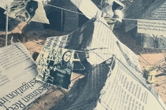 Sang-Coverage-Screenprint